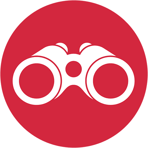 icon a pair of binoculars